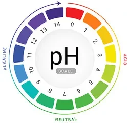 피부 pH의 범위와 산성·알칼리성 구분 출처: UCC Today, Skin pH and Barrier Function