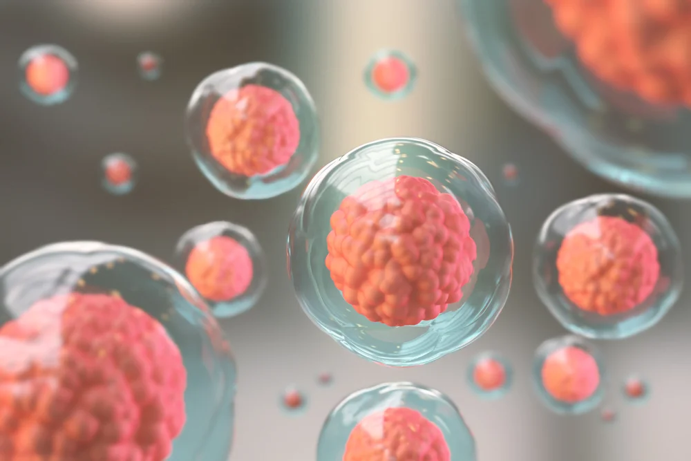 항암 부작용 증상 관리 | 힐링오아시스