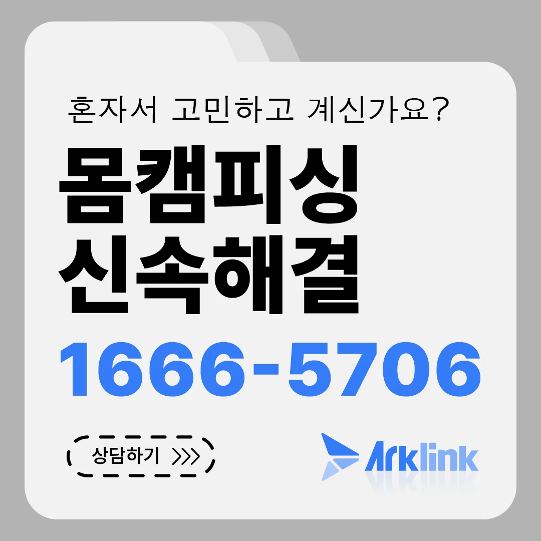 동영상사기란?