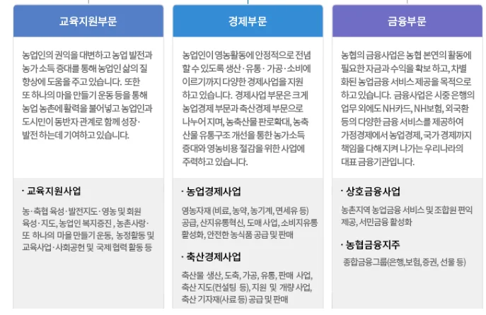 농협의 3대 핵심 사업 부문인 교육지원부문, 경제부문, 금융부문에 대한 상세 사업 내용 설명란
