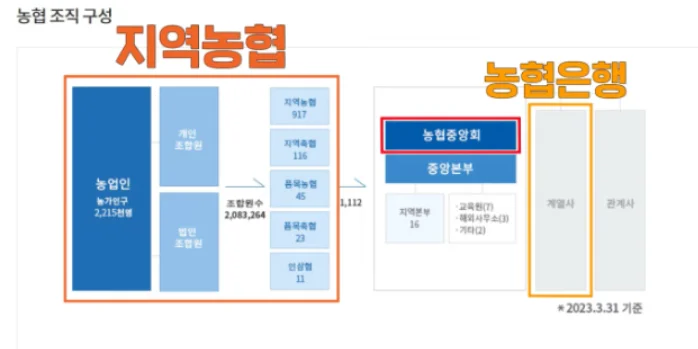지역농협과 농협은행의 차이
