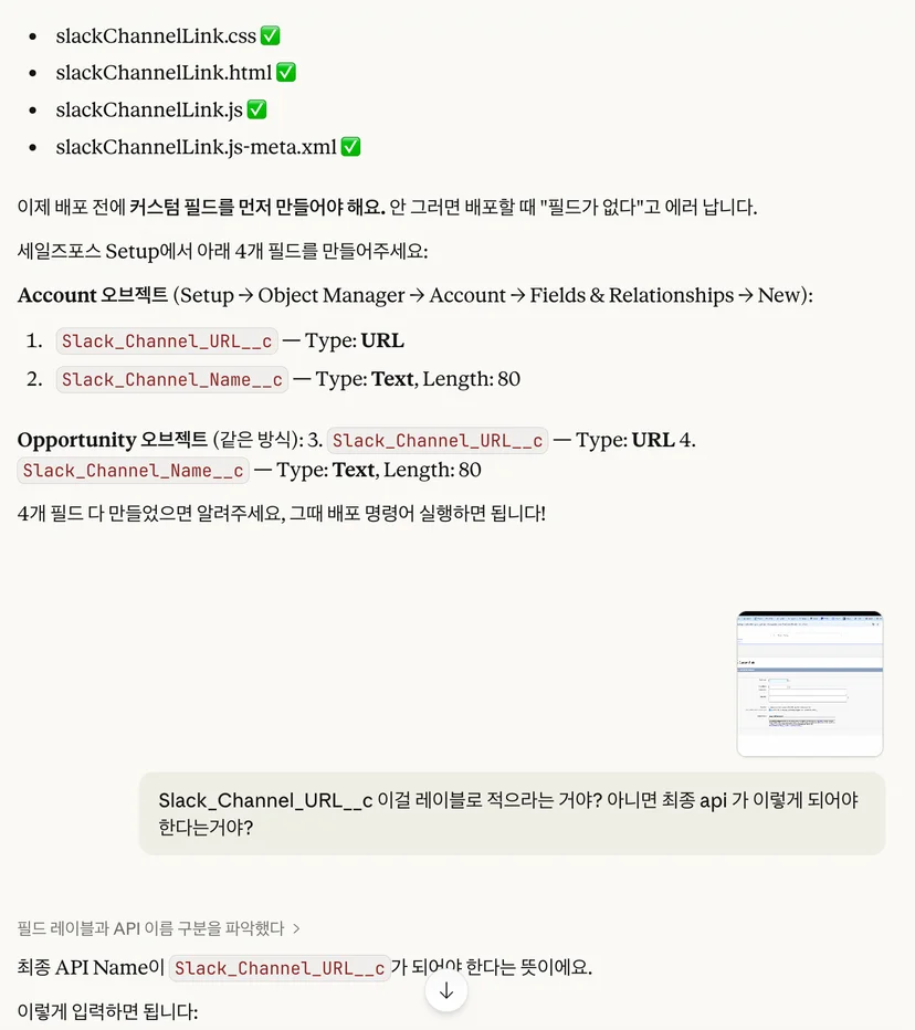 세일즈포스 커스텀필드 생성