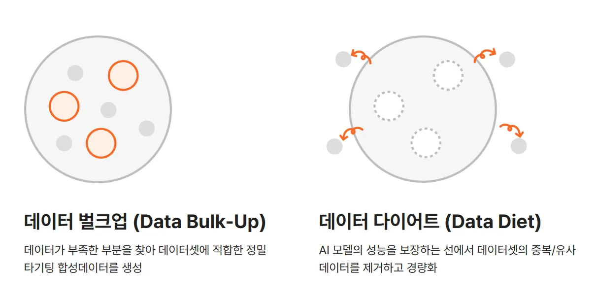 데이터 벌크업, 데이터 다이어트