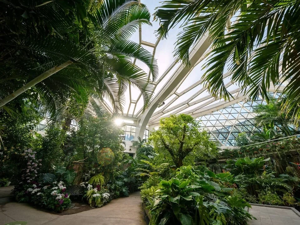 서울식물원 온실