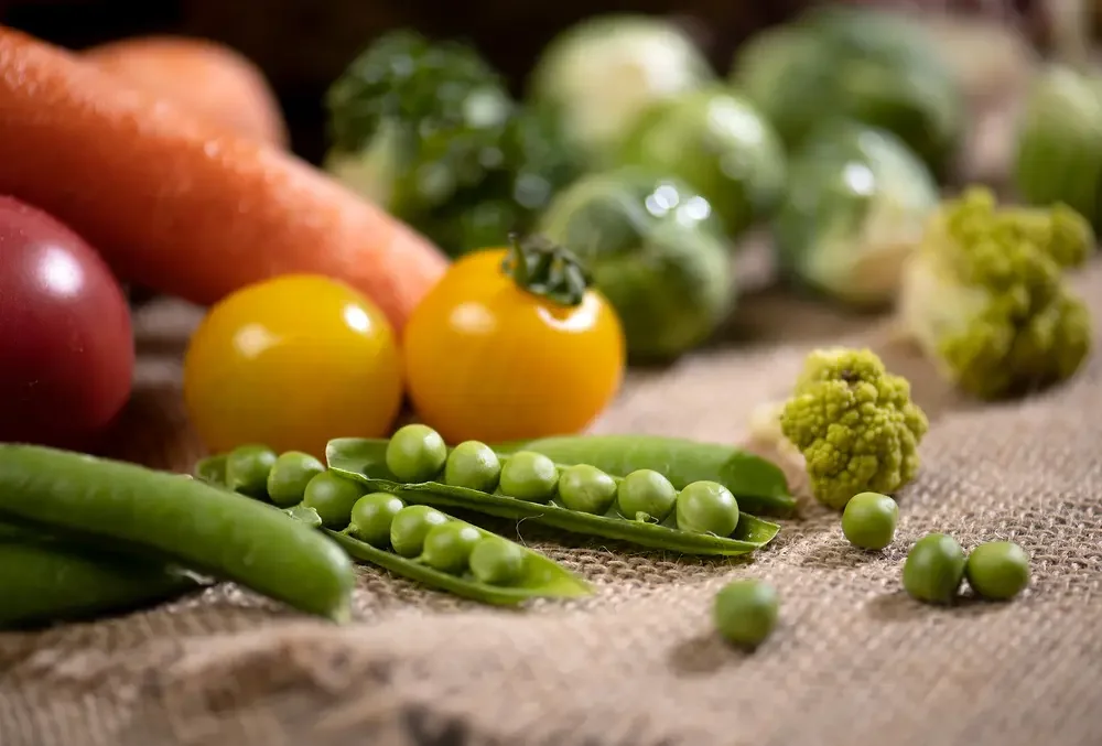 암환자 영양식의 기본 원칙