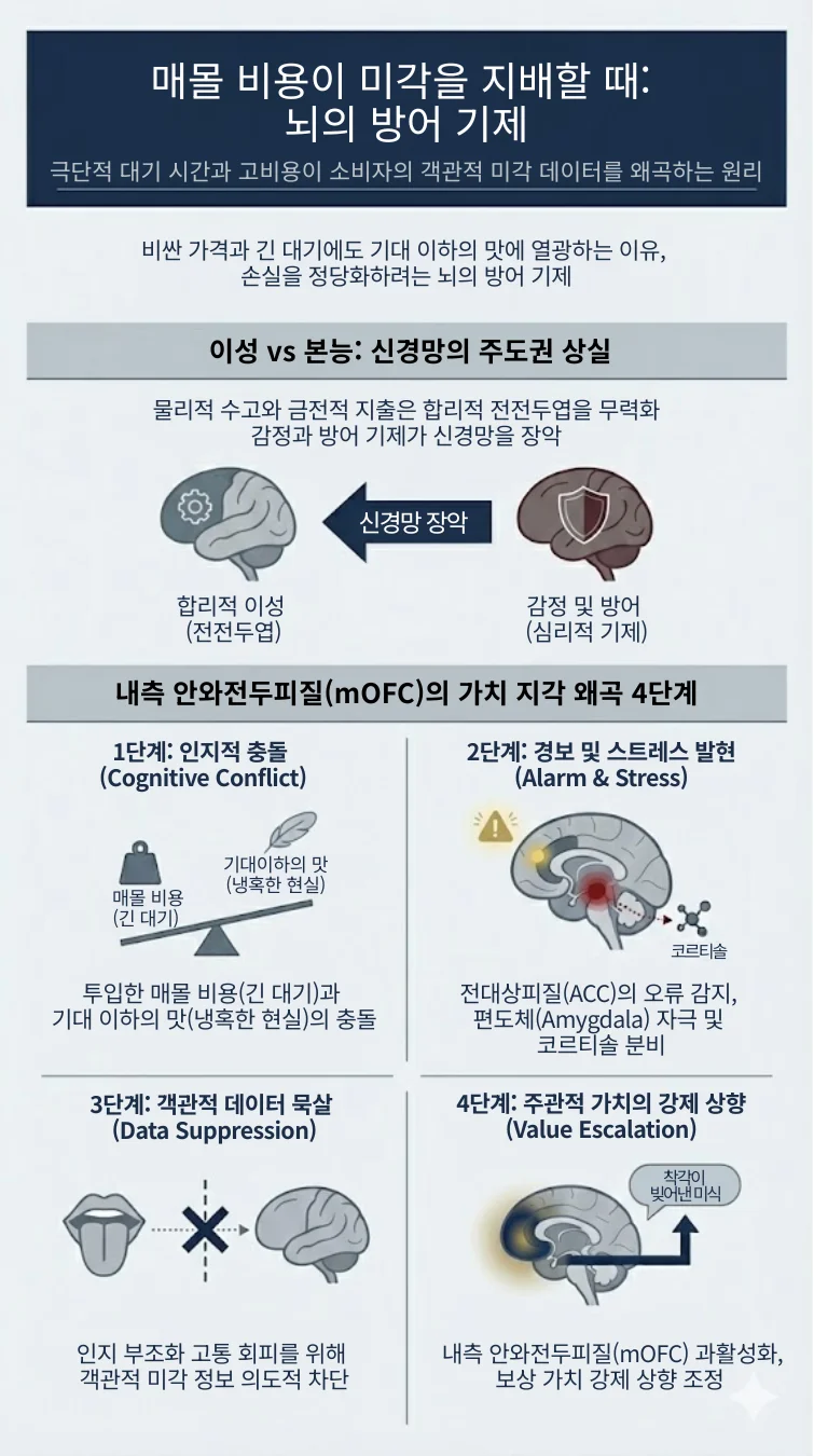 극단적 대기 시간과 매몰 비용이 소비자의 미각 판단을 왜곡하는 뇌의 자기 방어 기제를 설명한 뇌과학 인포그래픽. 합리적 이성인 전전두엽을 압도하는 감정 신경망의 장악 과정과, 인지 부조화를 해소하기 위해 내측 안와전두피질(mOFC)이 주관적 가치를 강제 상향 조정하는 4단계 메커니즘을 보여줌