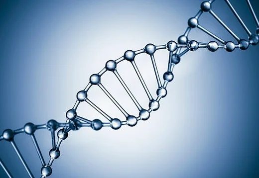 What is pdrn in skincare: PDRN molecular structure diagram