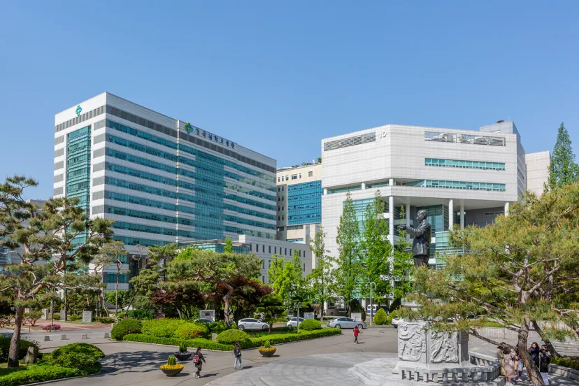 힐링오아시스로 서울암요양병원 찾기