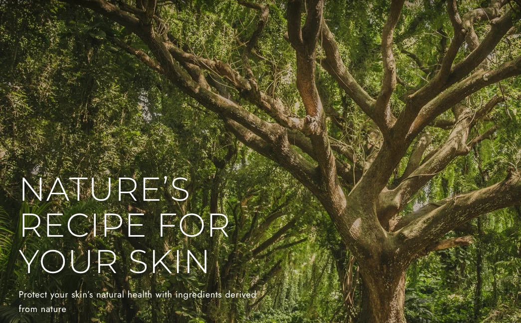 Papa Recipe Brand message 