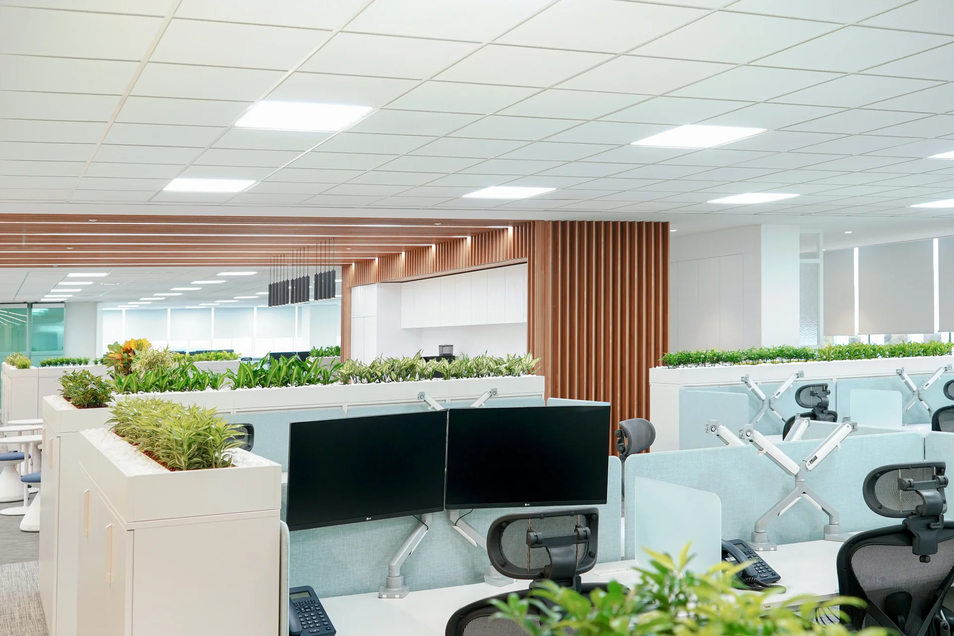 오피스에 배치된 수경식물 조경인테리어