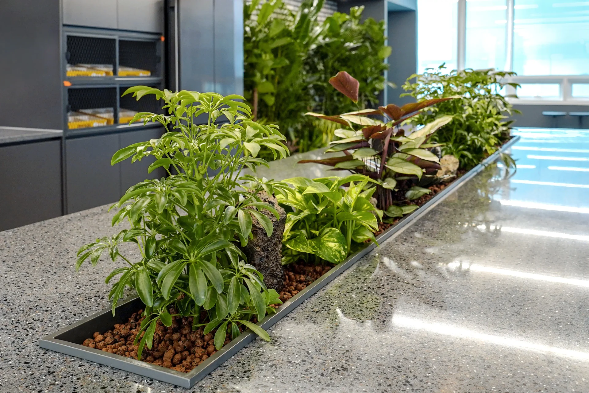 라운지에 조성된 수경식물 실내정원