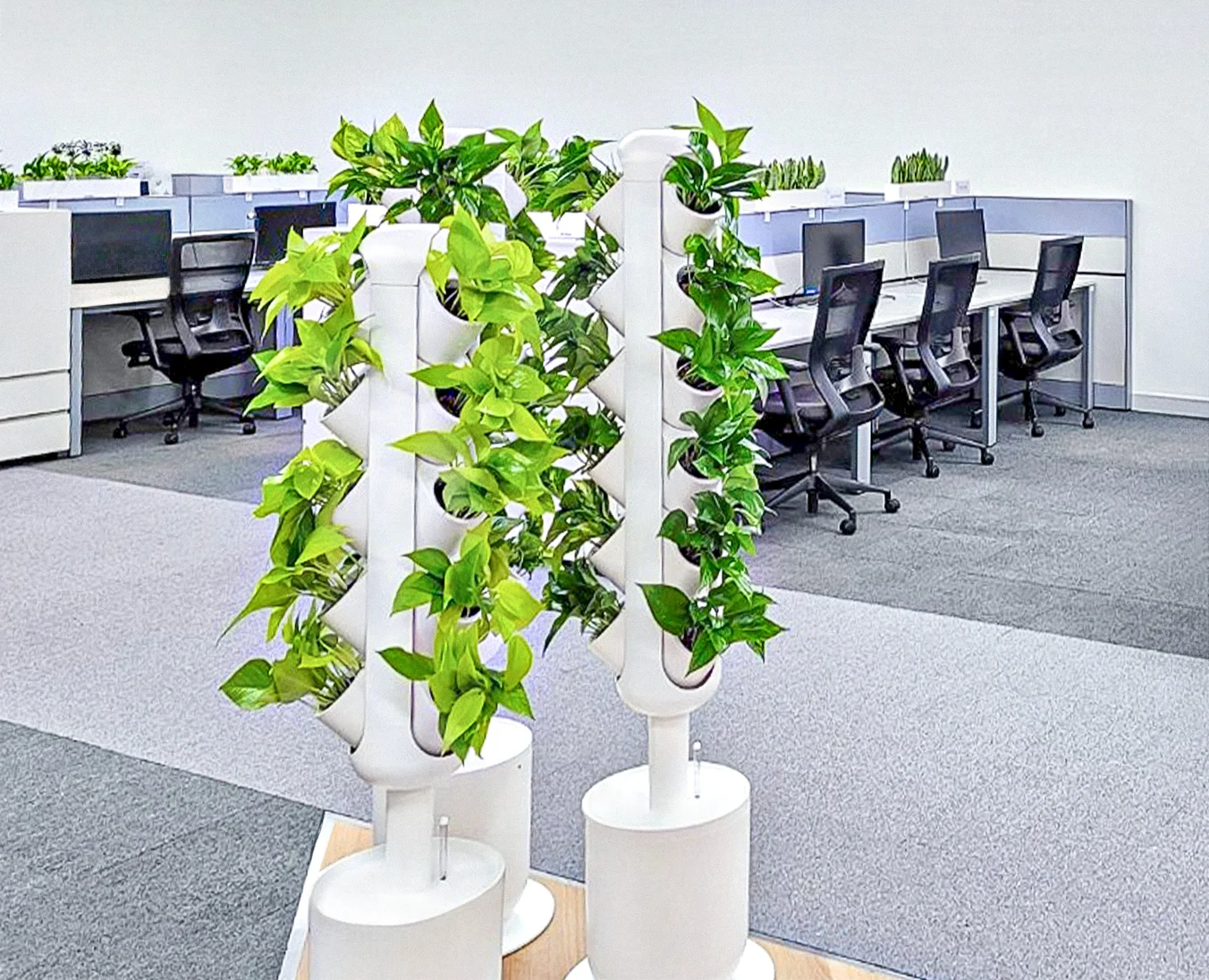 디자인 형태가 자유로운 수경식물 조경의 예