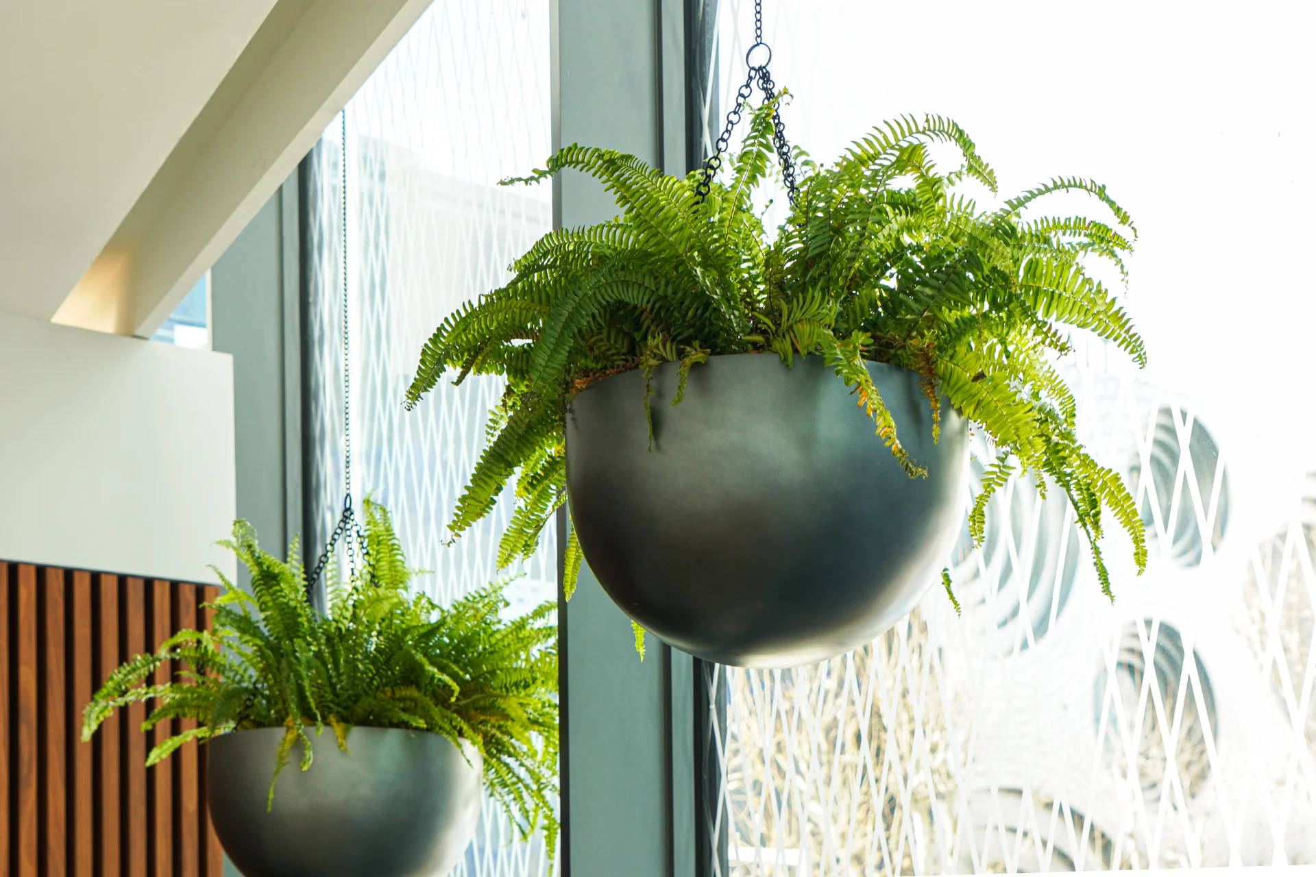 에코피플이 설치한 행잉 플랜트