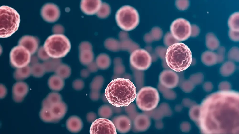 감염 예방과 상처 관리