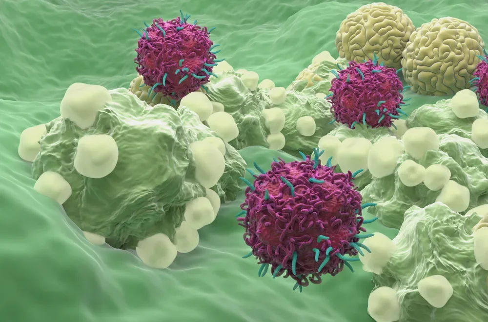 자주 묻는 질문 (FAQ)