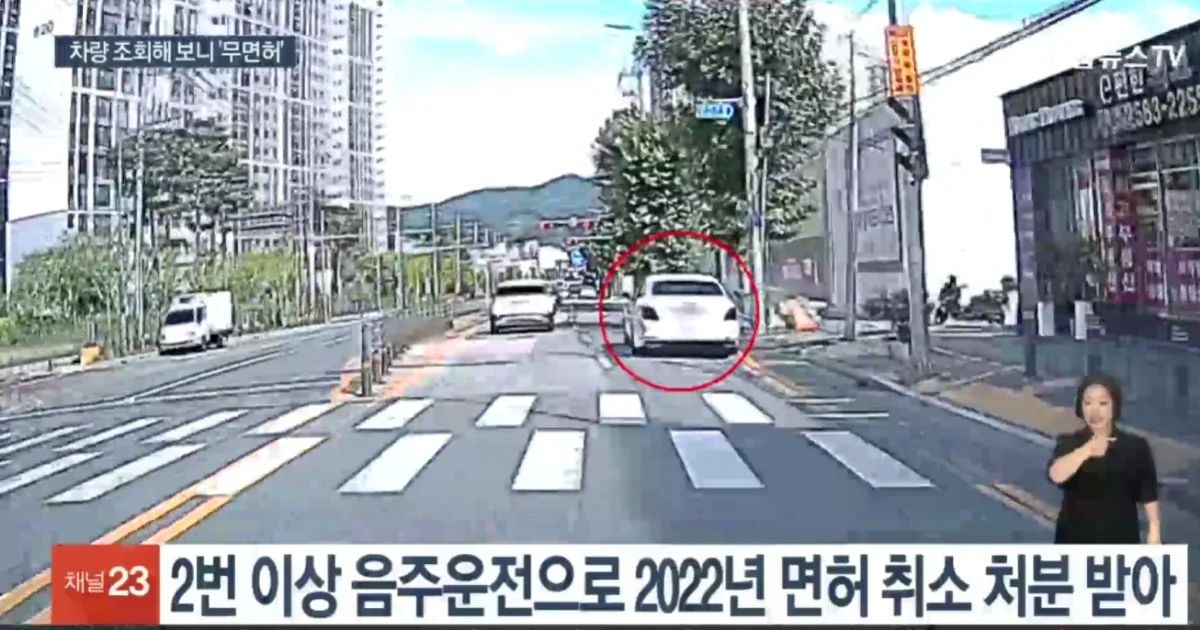 무면허 음주운전 뉴스