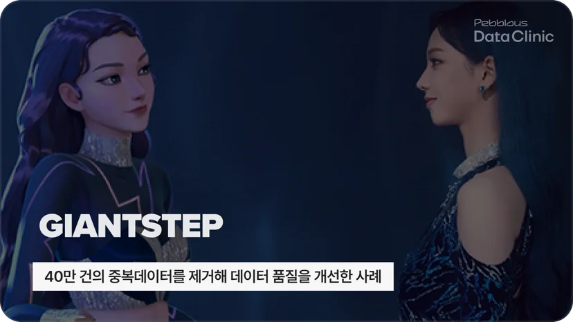 40만 건의 중복데이터를 제거해 데이터 품질을 개선한 사례 - 자이언트스텝