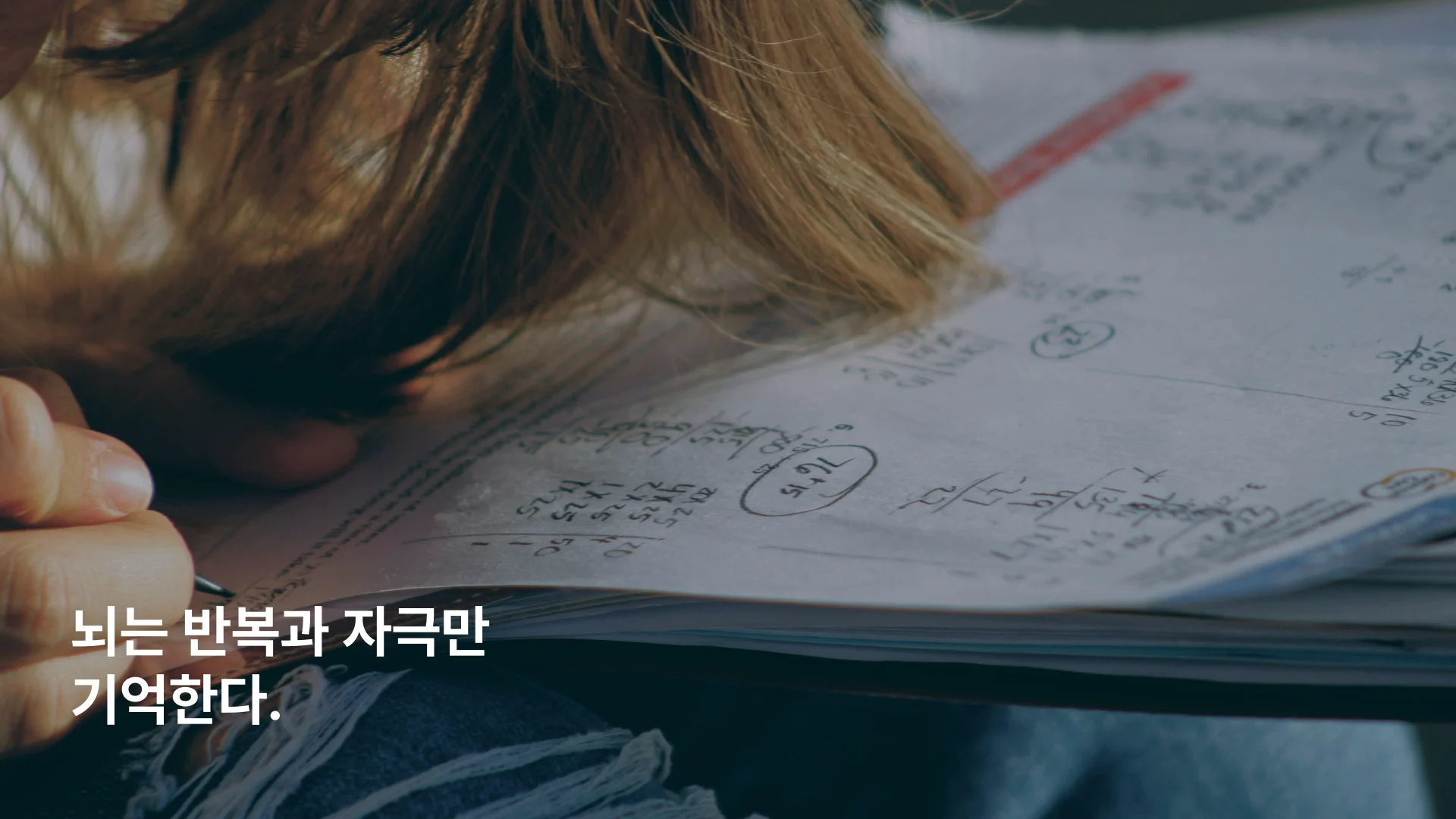 뇌 기억 형성 원리 반복과 자극 학습 메커니즘