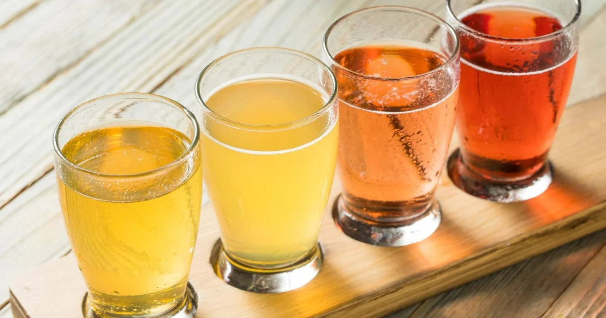 애플사이다 종류 비교 — 식초, 음료, 사과 스파클링 과실주