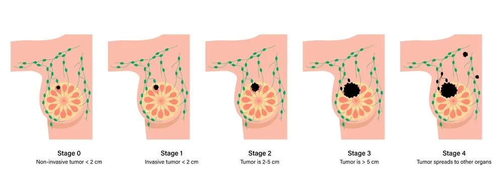 자주 묻는 질문 (FAQ)