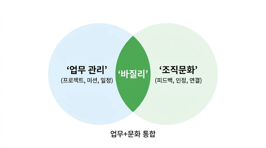 팀 문화 만들기, 바질리 업무+문화 통합 개념도