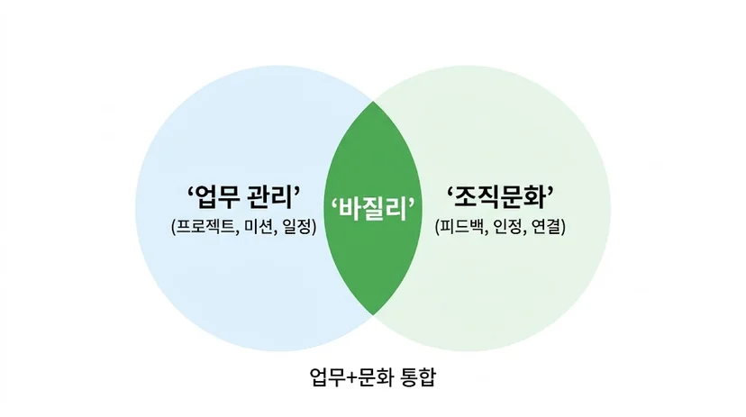 팀 문화 만들기, 바질리 업무+문화 통합 개념도