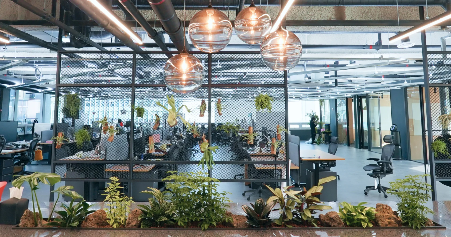 완성한 오피스 플랜테리어. 조명 아래 여러 식물들이 반짝이고 있다.