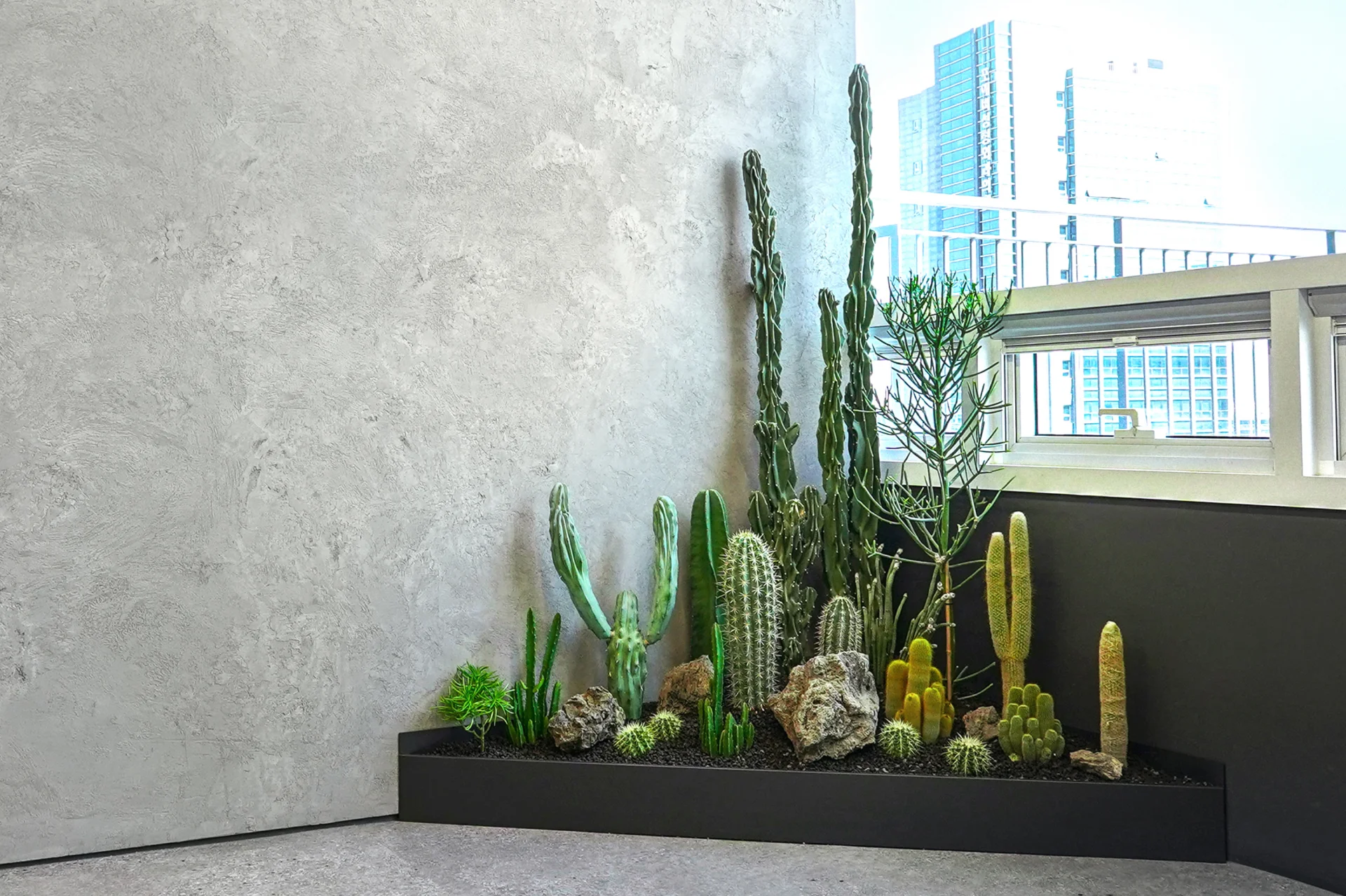 실내정원의 모습. 선인장과 다육식물을 식재해 유니크한 느낌이 난다.