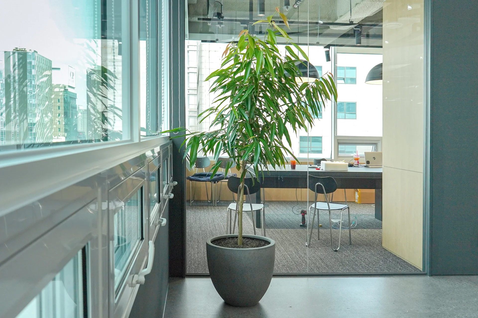 회의실로 향하는 복도 한편에 대형 화분이 놓여 있다.