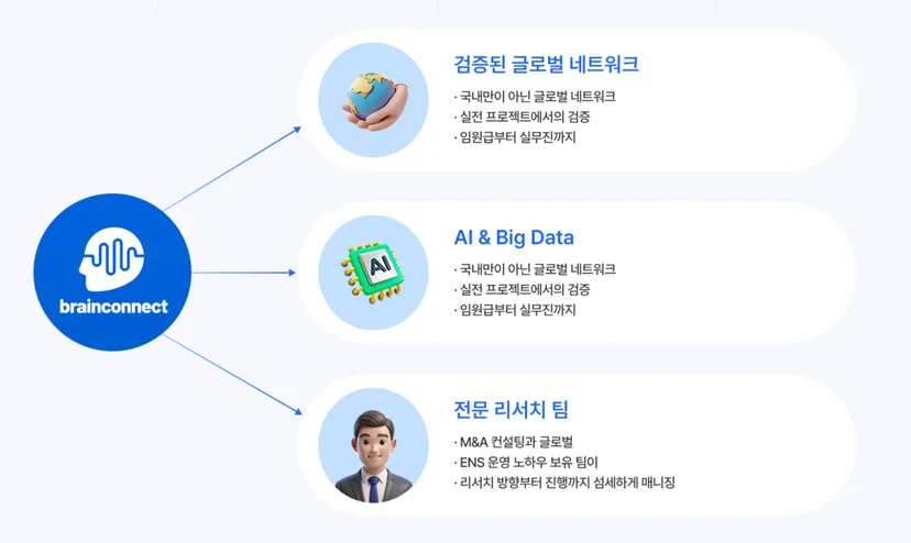 Brainconnect AI Usage and Pricing