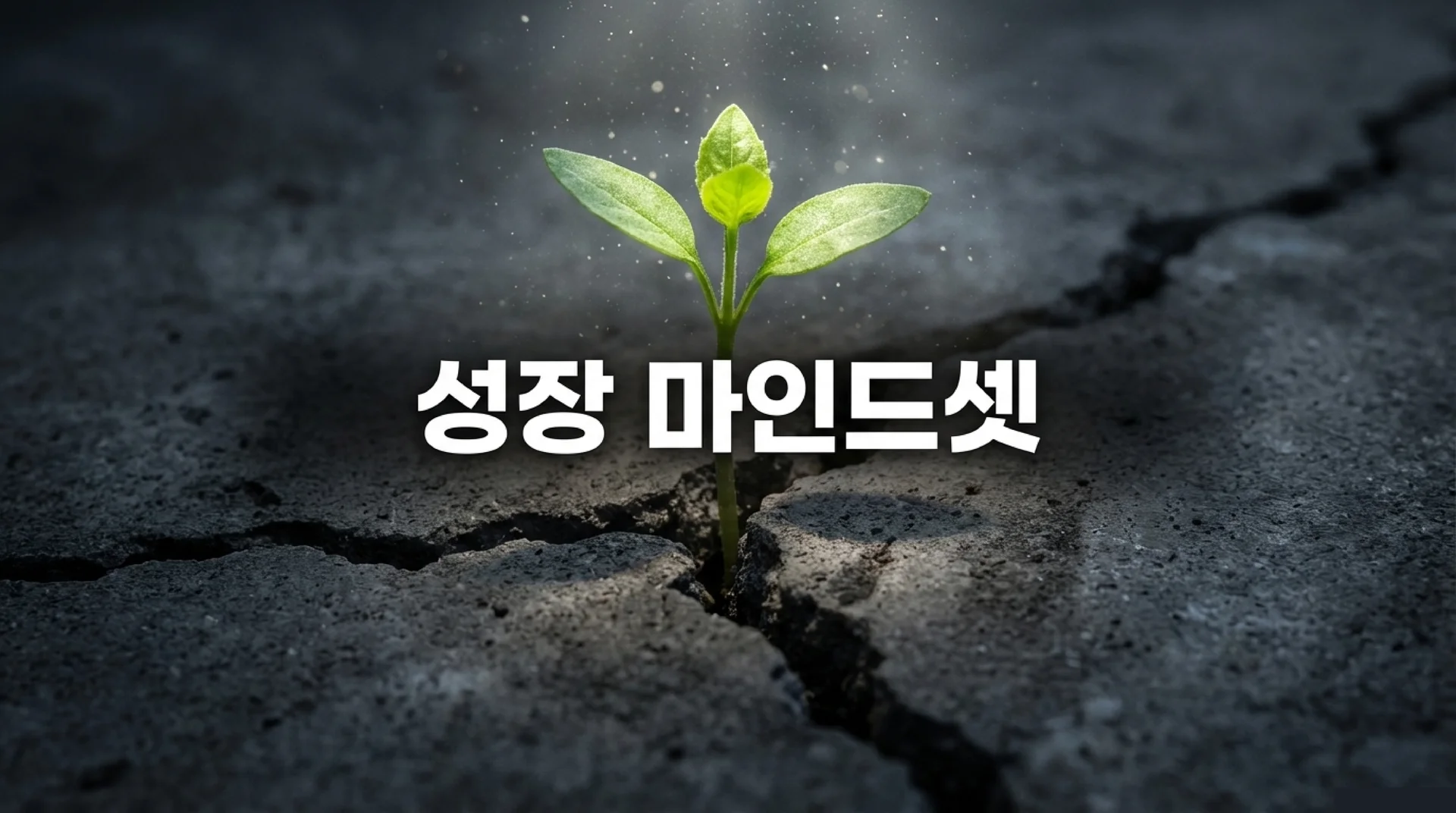 스탠퍼드 캐롤 드웩 성장 마인드셋 이론 설명 슬라이드