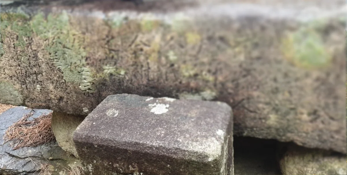 수백 년 된 묘석에 새겨진 한자