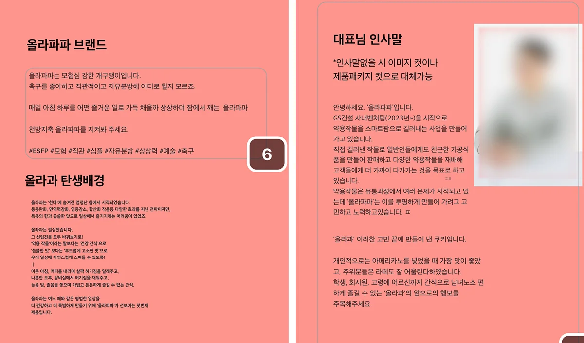 비티와이플러스(BTY PLUS)의 브랜드 확장 솔루션: 올라과 브로슈어 제작을 위한 정보 구조(IA) 설계 및 디자인 가이드라인이 포함된 기획 문서 이미지