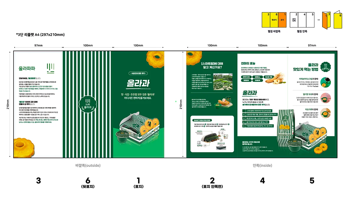 인쇄 공정(CMYK, 300dpi) 및 접지 규격에 최적화된 올라과 3단 접지 리플렛 편집 디자인: 고해상도 이미지와 브랜드 컬러 보정이 적용된 실물 목업