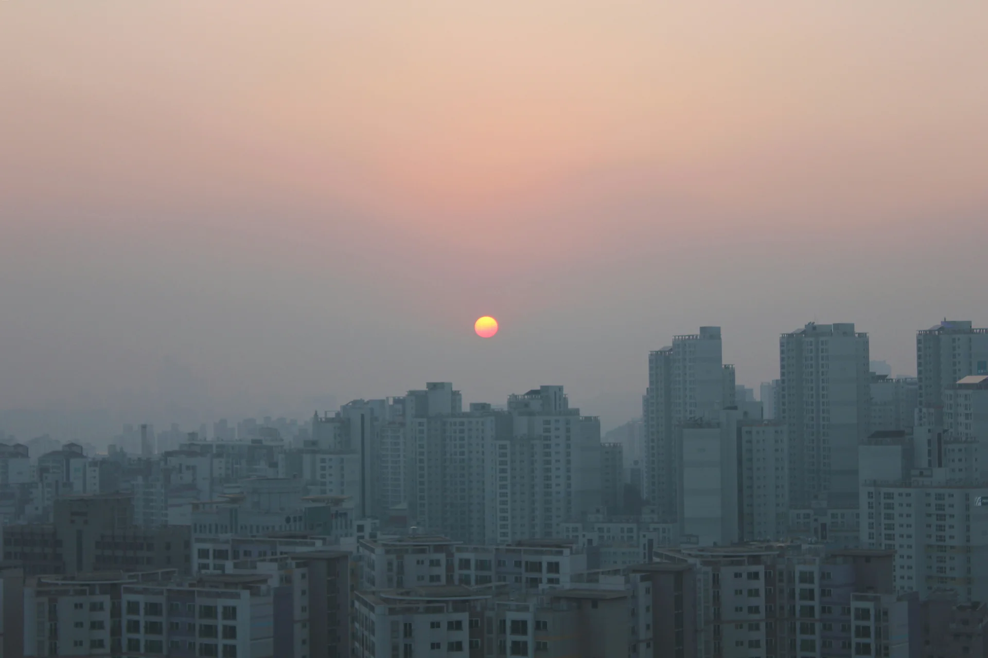 전세사기