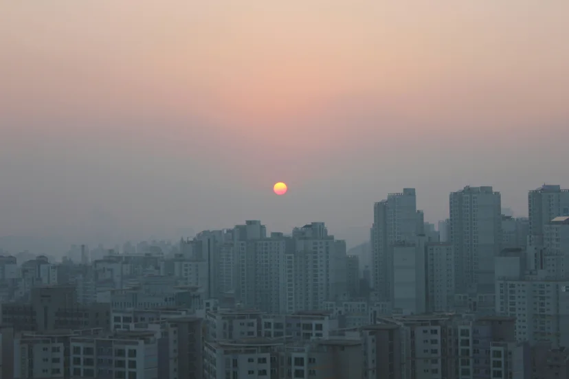 전세사기