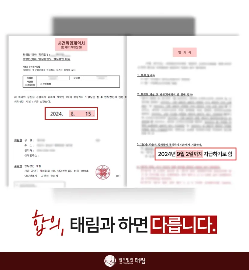 언론 보도·칼럼