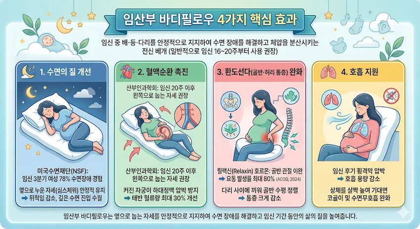 임산부 바디필로우 핵심 효과
