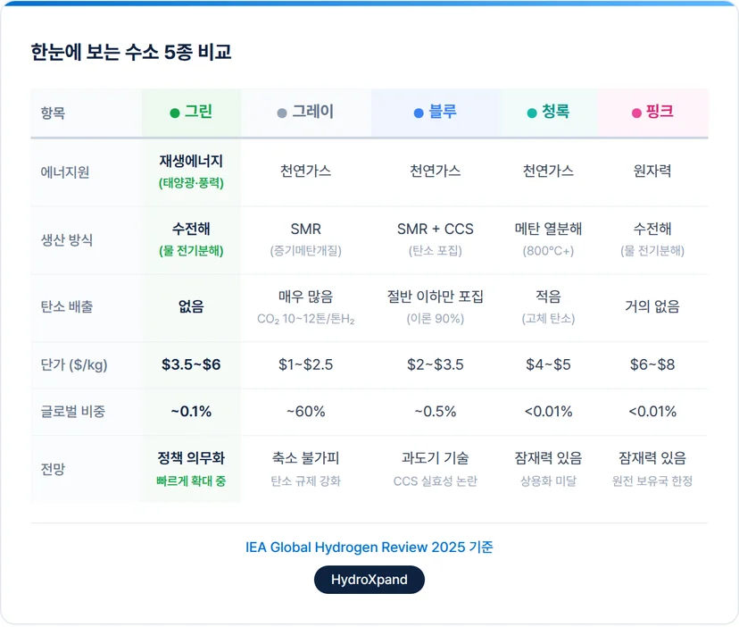 수소 5종 비교