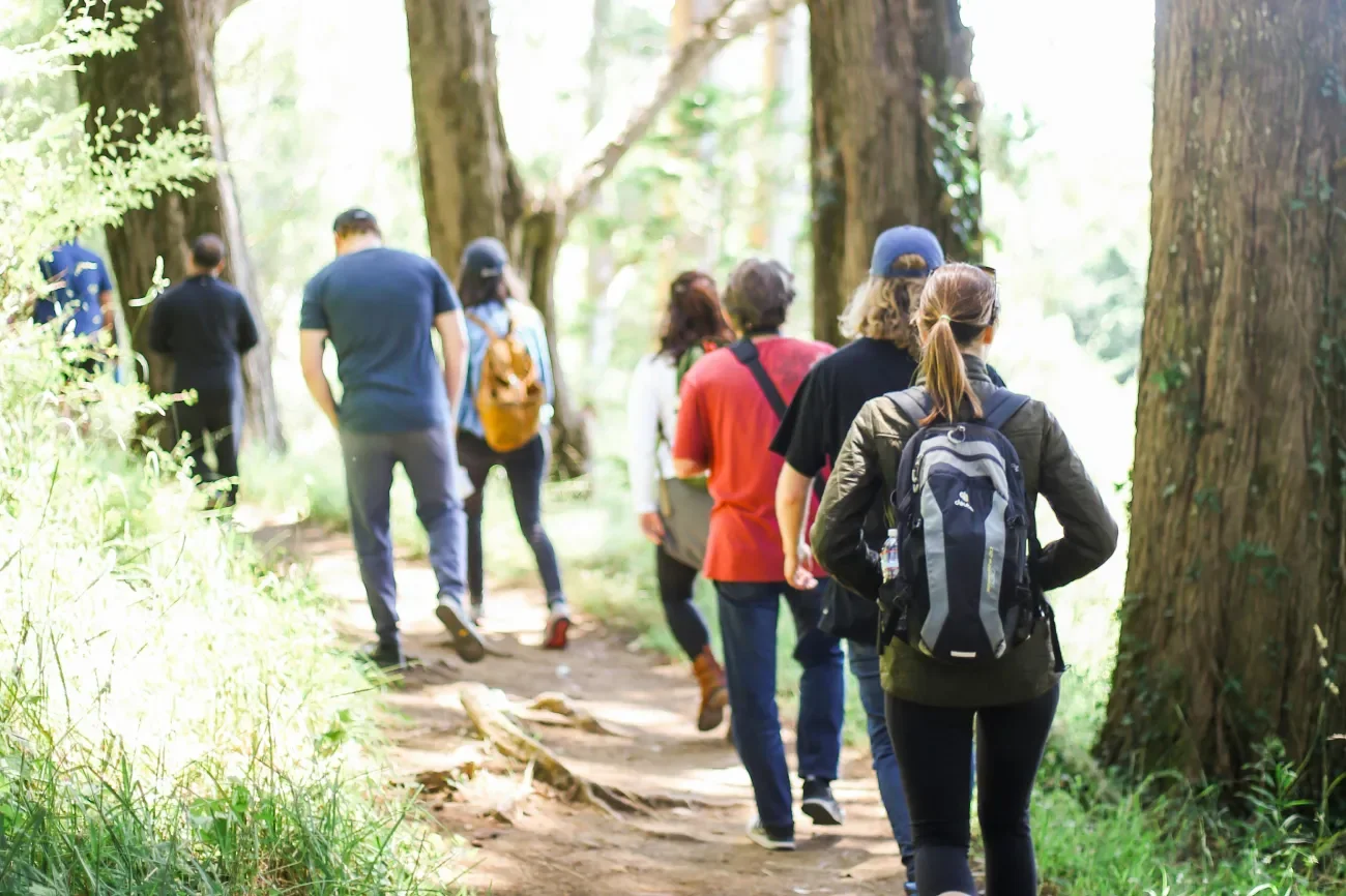 숲길 탐방 - 산책로를 걸어가는 사람들의 모습
