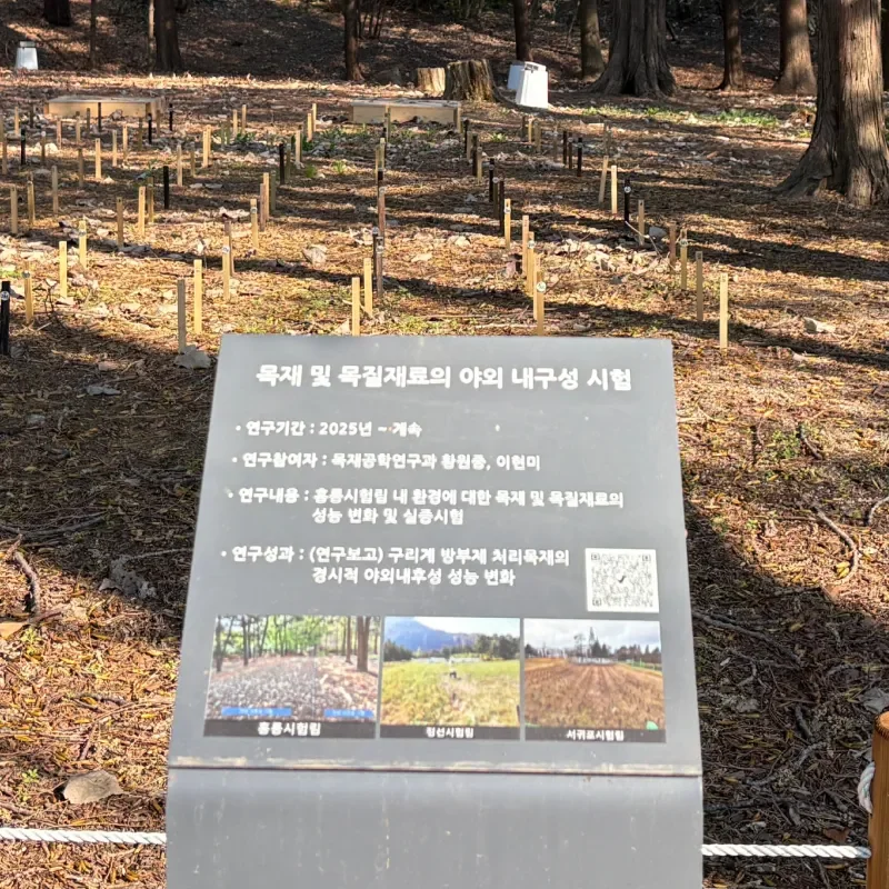 홍릉숲 산림 연구 현장 - 낙우송숲 아래 생물다양성 모니터링을 위한 조사 구획 표지함을 안내하는 표지판
