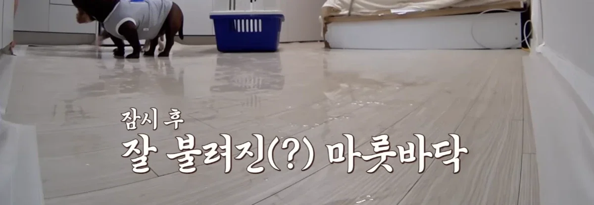 개와늑대의시간 방송중 일부 캡처1