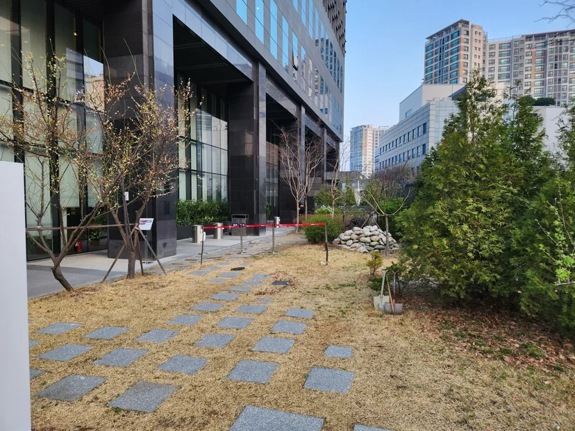 사옥 기념식수 — 식재 전 공간 현황
