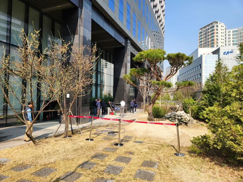 동일 공간에 H3.8×R28 조형소나무 식재 완료