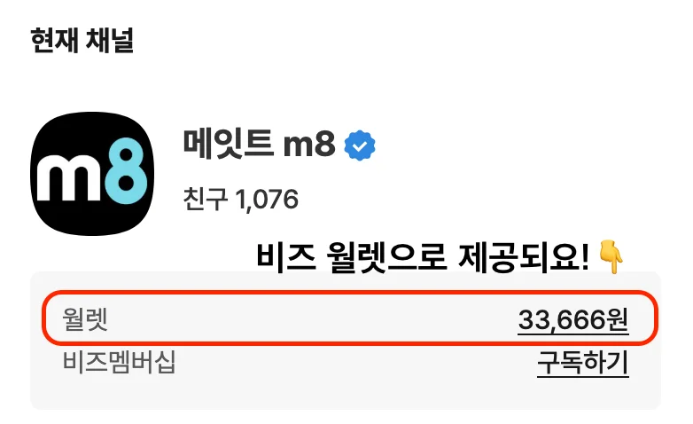 카카오 비즈 월렛