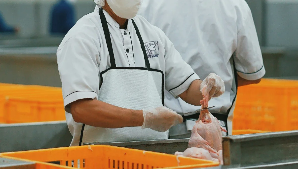 chicken factory worker