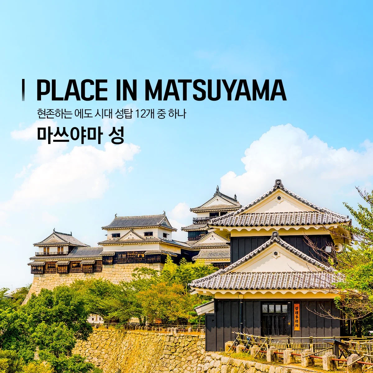 부산 출발 마쓰야마 자유여행 에어텔 2박 3일