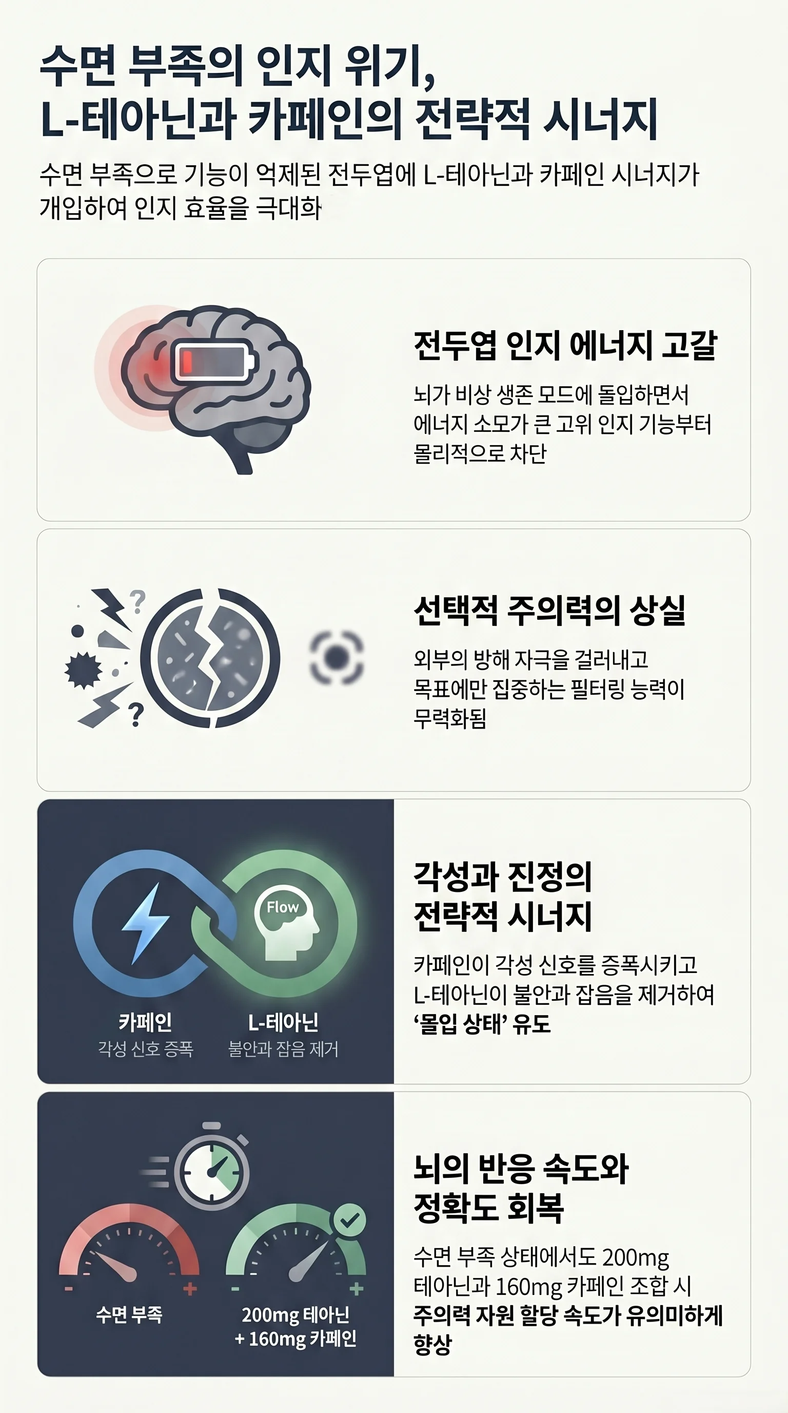수면 부족으로 인한 전두엽 인지 에너지 고갈과 선택적 주의력 상실을 극복하기 위해, 각성과 안정의 균형을 맞추는 L-theanine과 Caffeine 조합의 신경생물학적 시너지 작용 원리를 설명한 인포그래픽