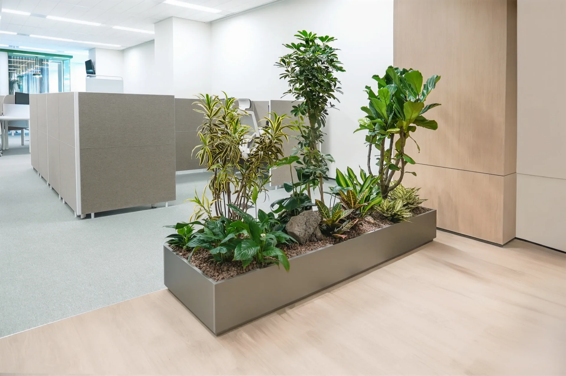 대기업 플랜테리어, 공간을 구별하는 용도로 플랜트박스를 활용해 미니정원 구성