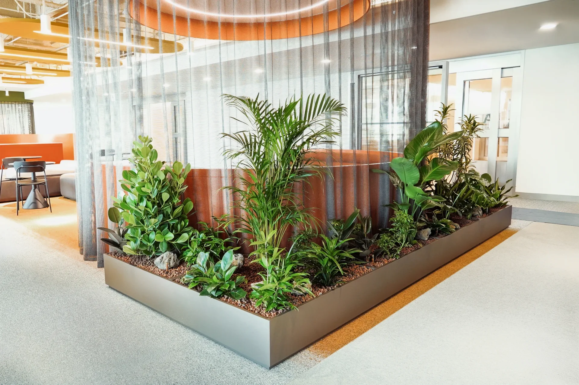 원형 커튼 파티션을 배경으로 한 곡선형 플랜트박스. 아레카야자를 중심으로 다수의 수종을 층위별로 혼식했다.